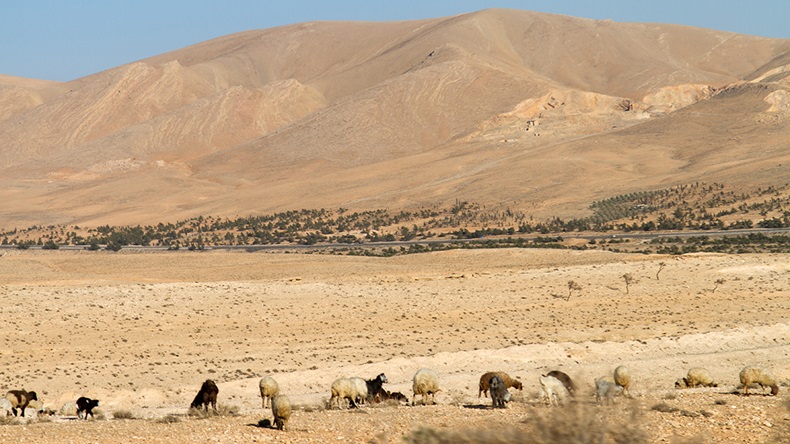 Syria drought (2016)