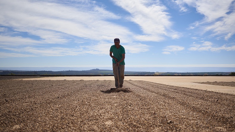 Brazil drought (2021)