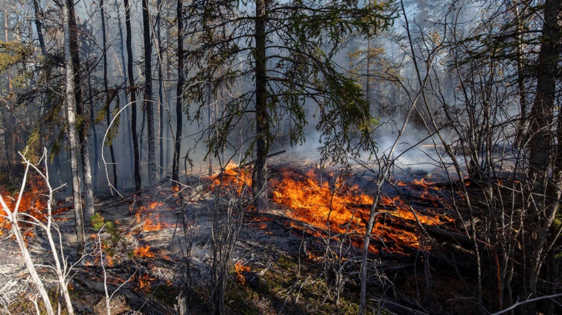 Hay River wildfire