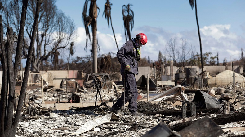 Maui, Hawaii wildfire (2023)