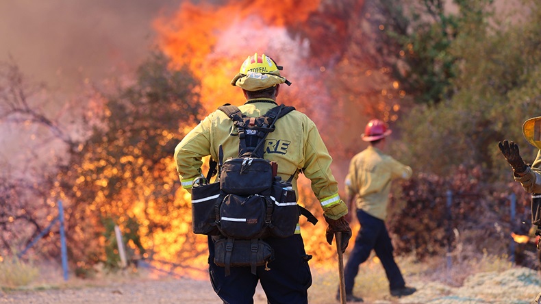 California Park fire (2024)