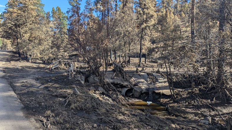 New Mexico wildfire burn scar