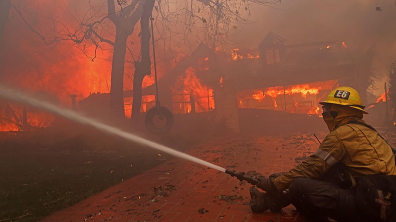 Palisades fire, California