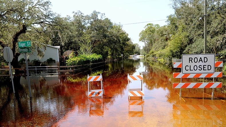 Florida flood (2017)