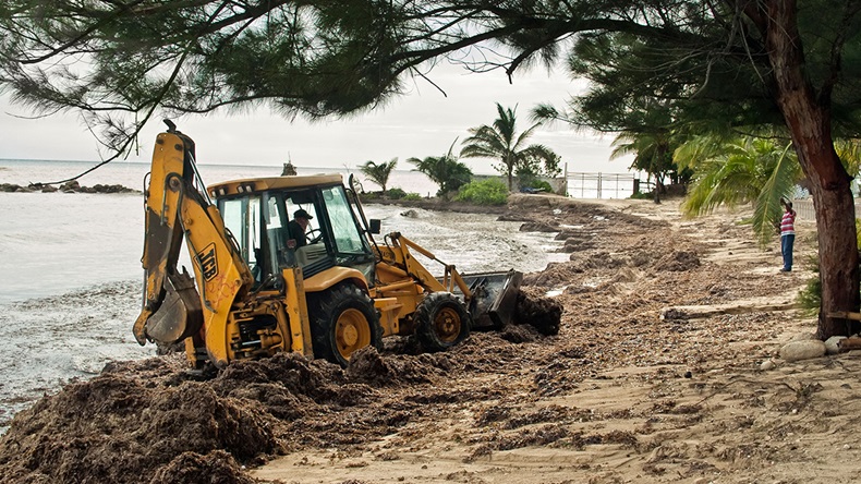 Hurricane Gustav Jamaica (2008)