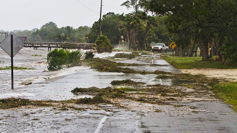 Hurricane Debby, Florida