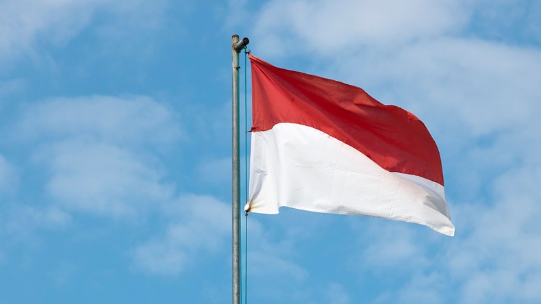 Indonesia flag