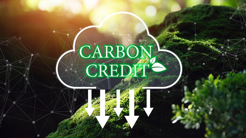 Carbon credit