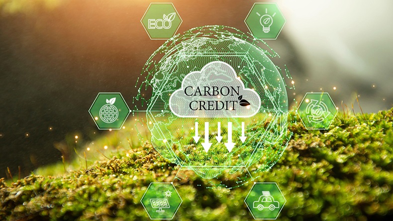 Carbon credit