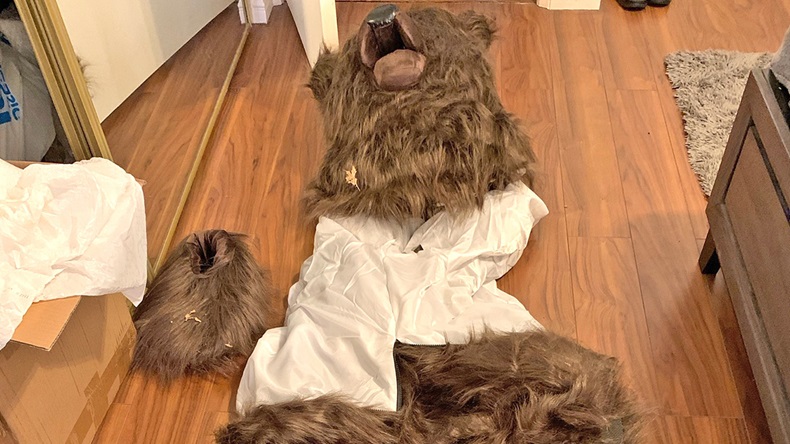 Bear costume