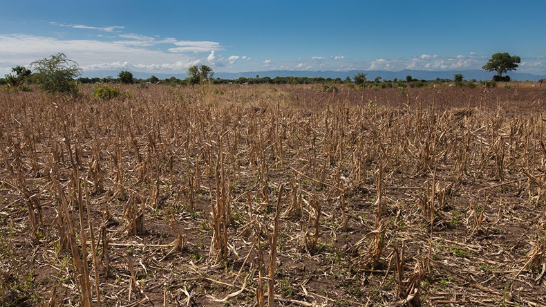 Drought (Guido Dingemans/Alamy Stock Photo)