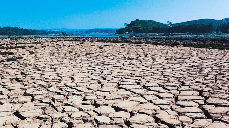 Drought (Universal Images Group North America LLC/DeAgostini/Alamy Stock Photo)