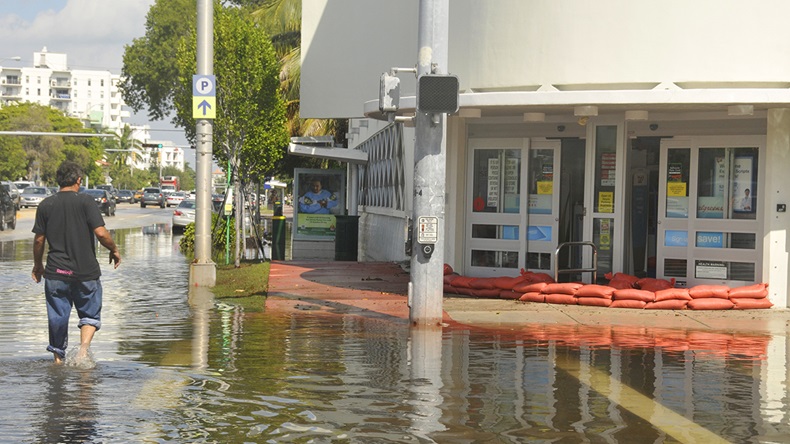 Hurricane Sandy Miami (2012) (meunierd/Shutterstock.com)