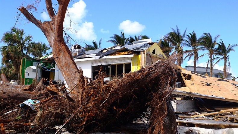 Damage caused in Grand Bahama, Bahamas, by hurricane Matthew in 2016 (Robert Szymanski/Shutterstock.com)