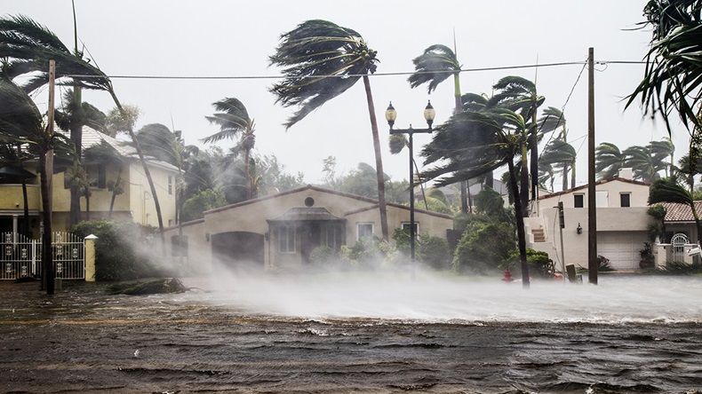 Hurricane Irma Fort Lauderdale (2017) (FotoKina/Shutterstock.com)