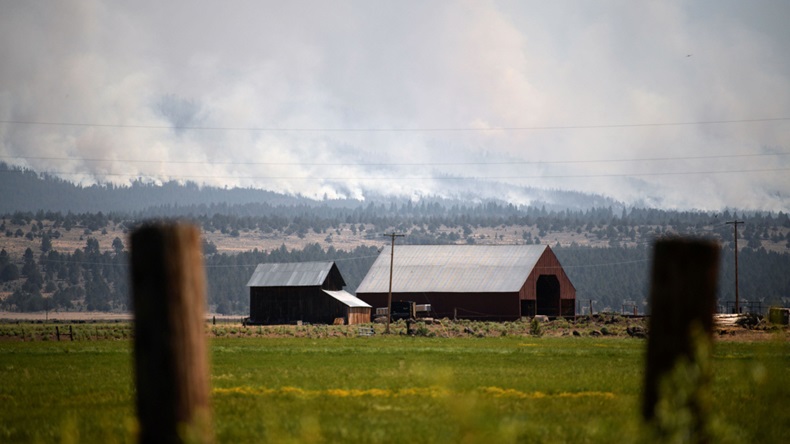 Oregon Bootleg fire (2021) (REUTERS/Mathieu Lewis-Rolland/Alamy Stock Photo)
