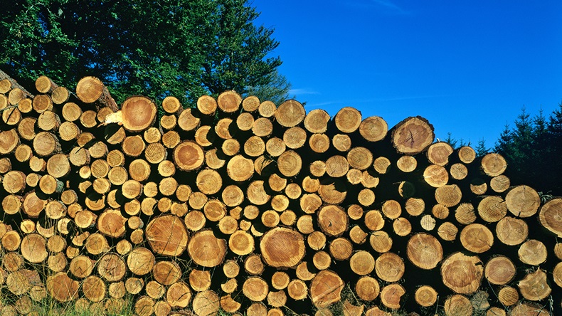 Lumber (imageBROKER/Alamy Stock Photo)