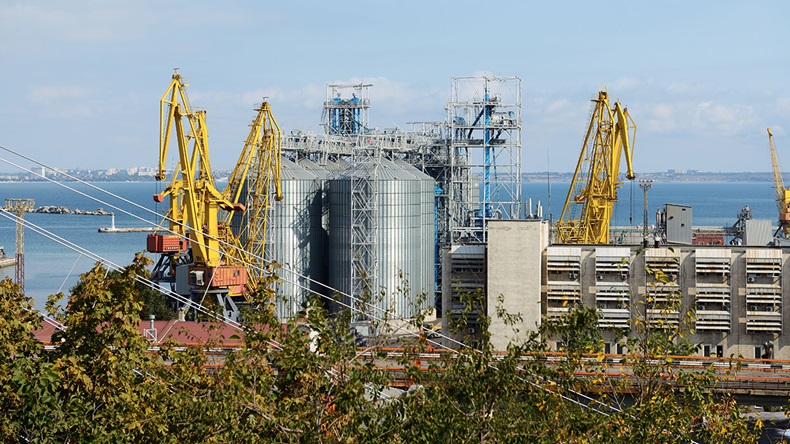 Odesa port grain siloes (Viacheslav Khmelnytskyi/Alamy Stock Photo)