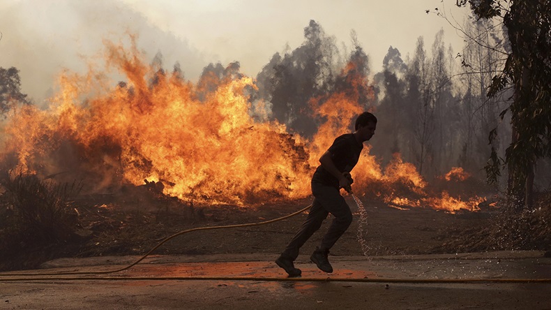 Portugal wildfire (2017) (Armando Franca/AP)