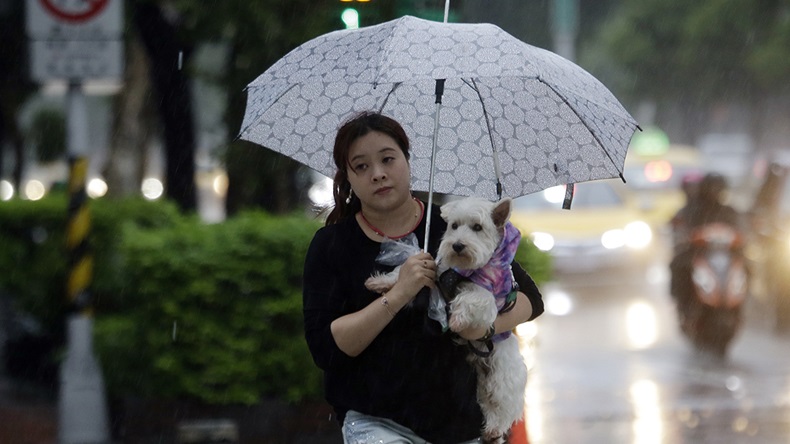 Typhoon Mitag Taiwan (2019) (Chiang Ying-ying/AP)