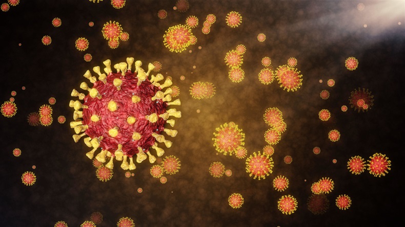 Coronavirus (Science Photo Library/Alamy Stock Photo)