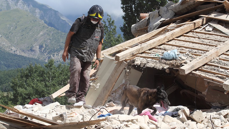 Amatrice earthquake, Italy (2016) (Antonio Nardelli/Shutterstock.com)