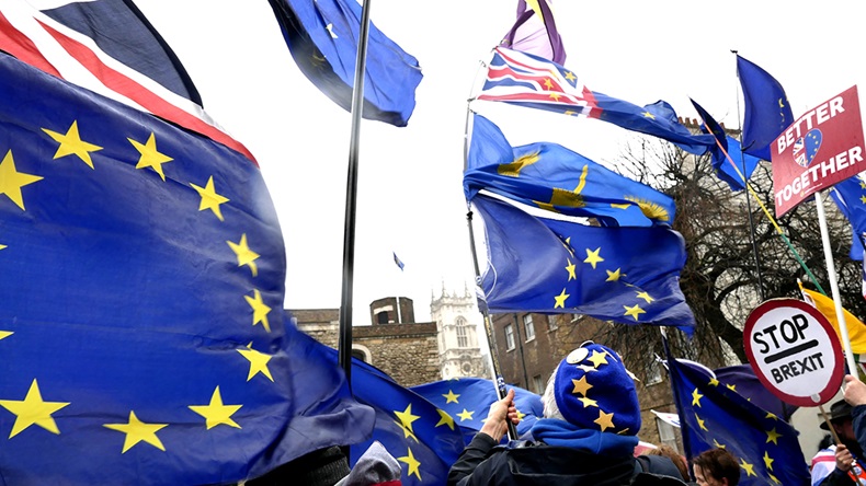 Anti-Brexit protest march (Brian Minkoff/Shutterstock.com)
