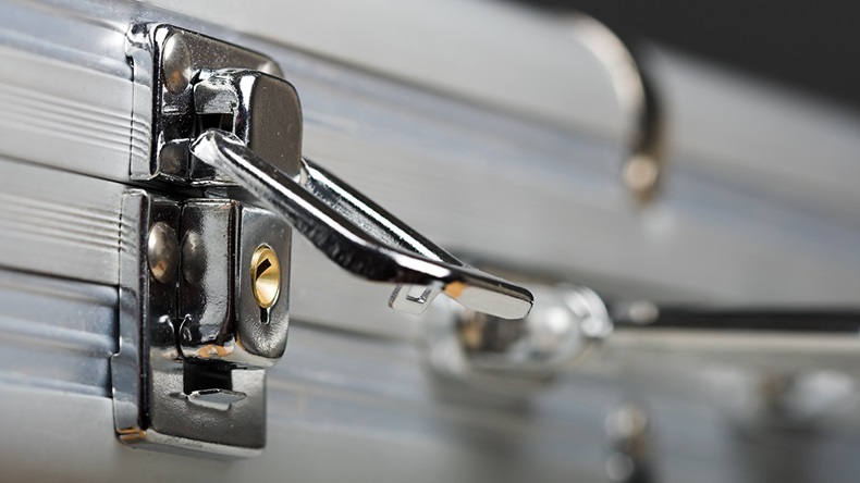 Briefcase (Anneka/Shutterstock.com)