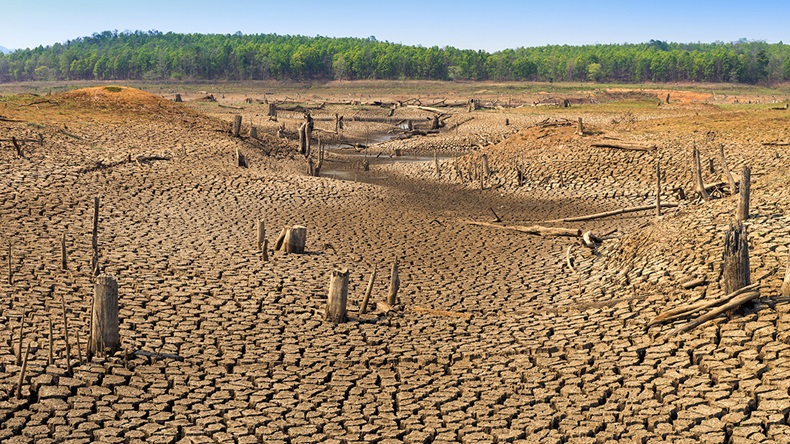 Drought (24Novembers/Shutterstock.com)