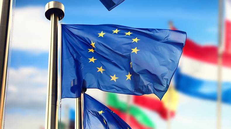 EU flag (symbiot/Shutterstock.com)