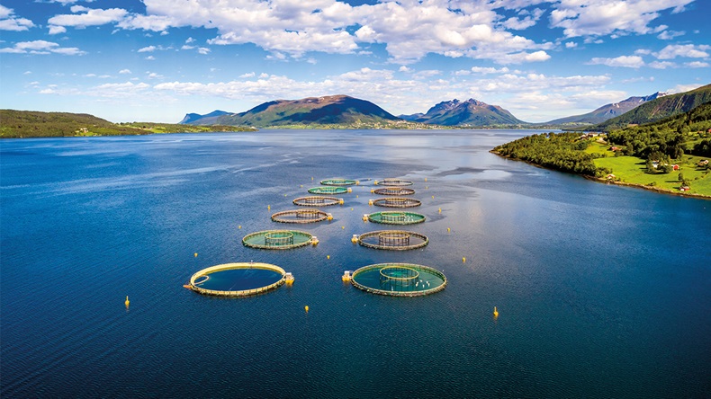 A salmon farm in Norway