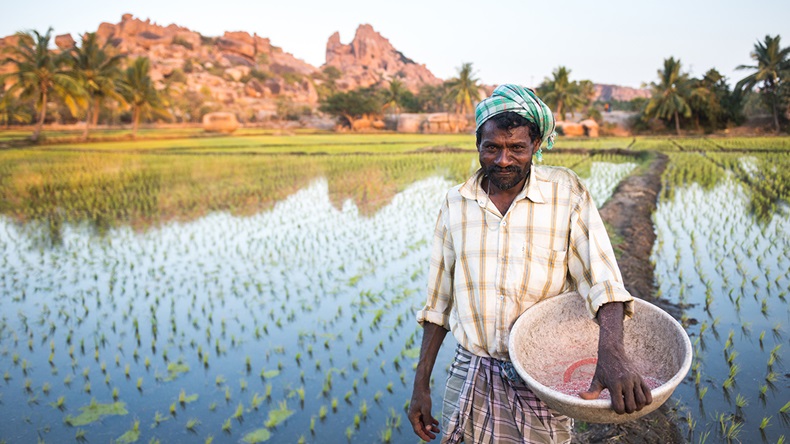 Indian farmer (Karl Ahnee/Shutterstock.com)