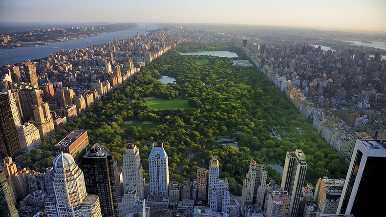 New York, NY (T photography/Shutterstock.com)