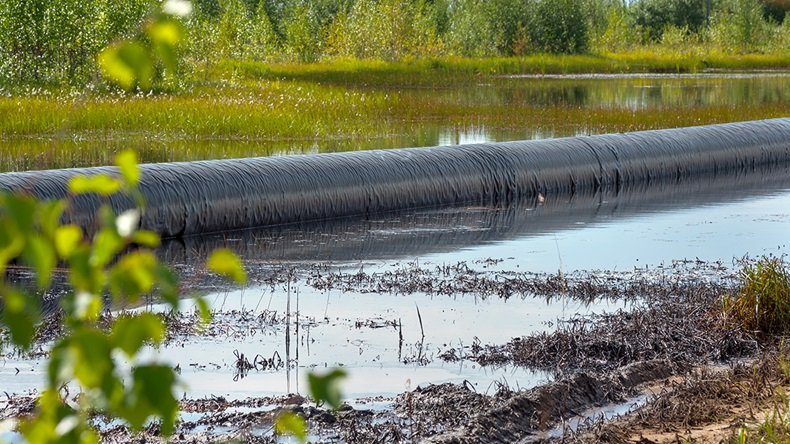 Oil pipeline leak (Leonid Ikan/Shutterstock.com)