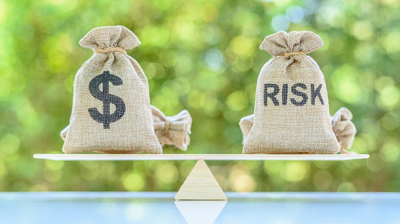 Risk versus reward (William Potter/Shutterstock.com)