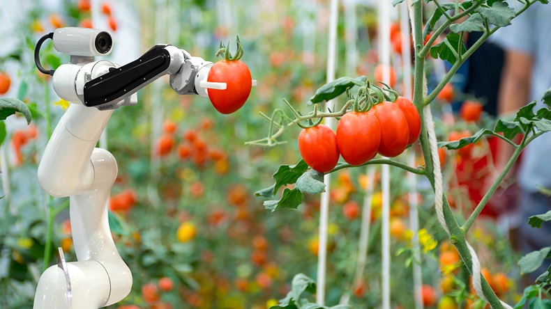 Robotic farming (kung_tom/Shutterstock.com)