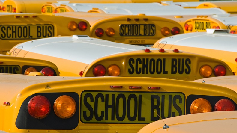 School buses (Ellen McKnight/Shutterstock.com)
