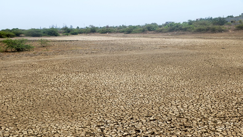 Senegal drought (ARPIT KHAMBHATA/Shutterstock.com)