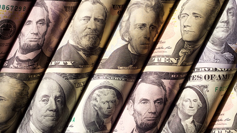 US dollars (Dzhafarov Eduard/Shutterstock.com)