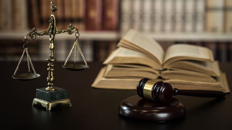 US law (Chodyra Mike/Shutterstock.com)
